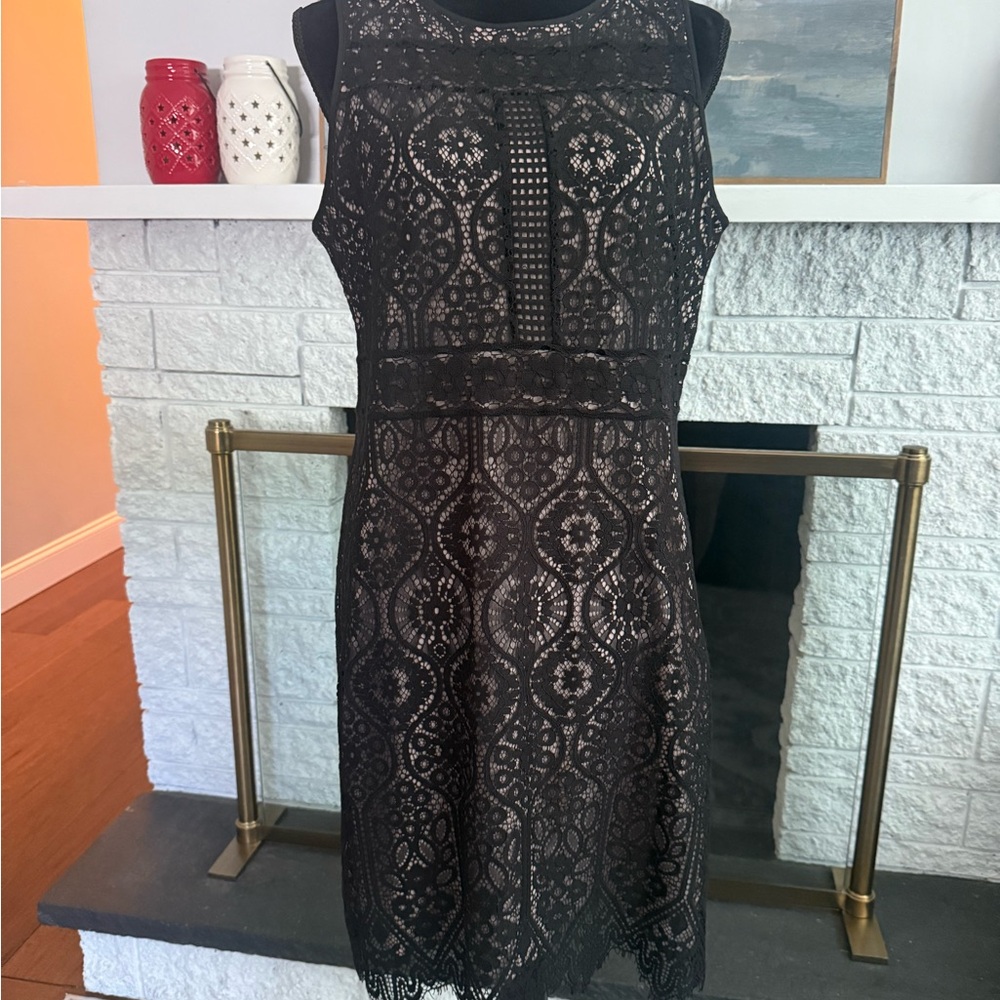LOFT Black Lace Mini Dress